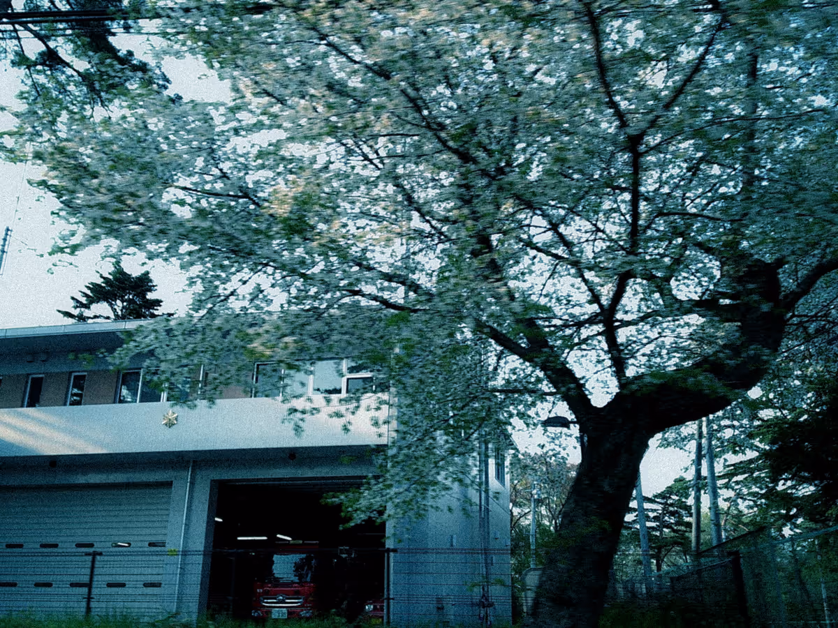 Camp Snap 02