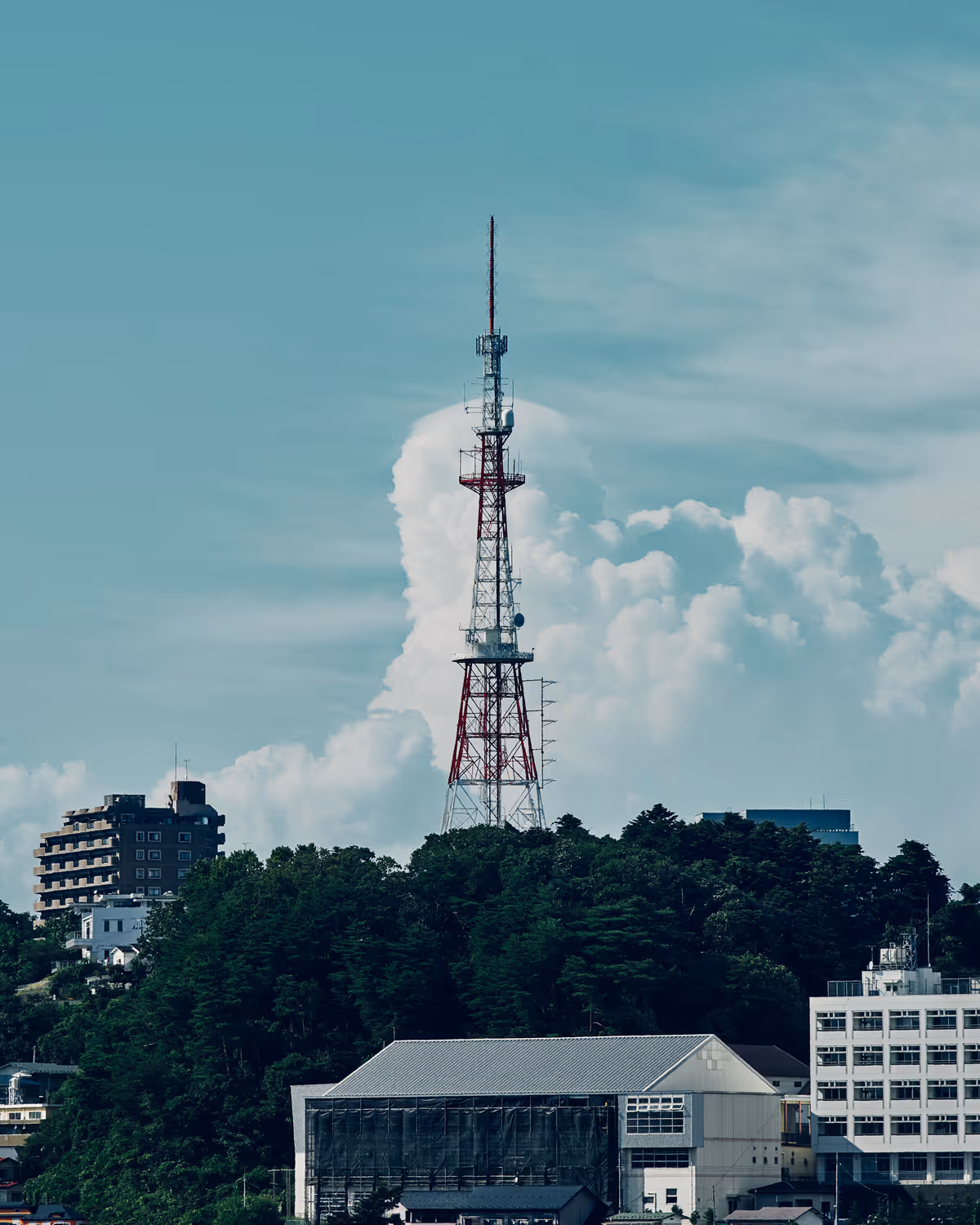 yagiyama