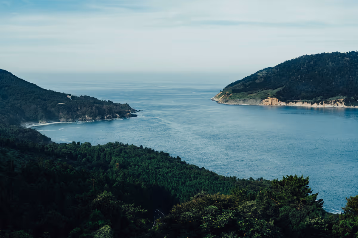 Oshika Peninsula