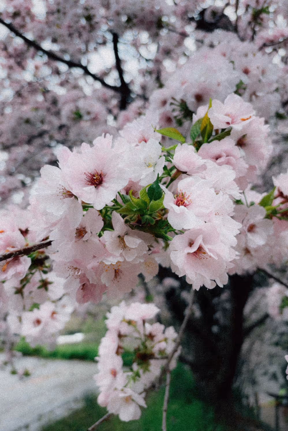 画像13