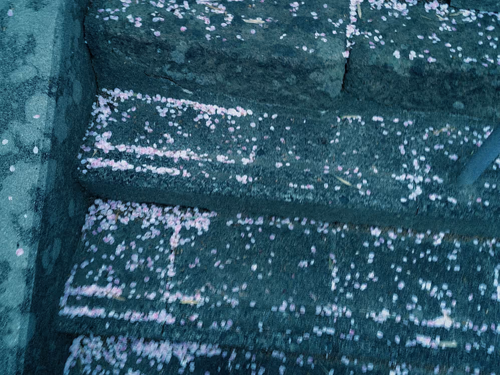 画像03