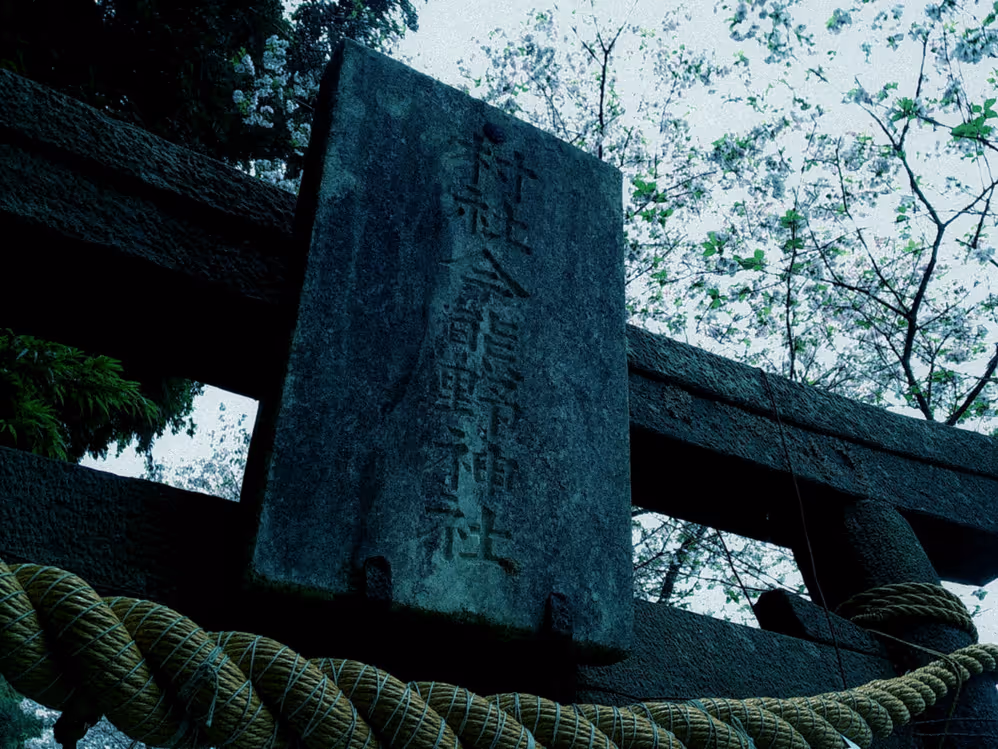 画像05