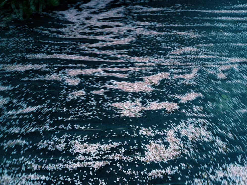 画像06