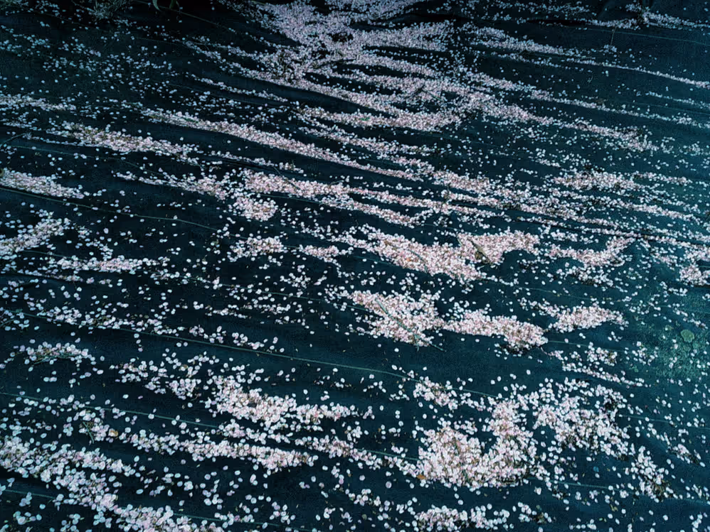 画像07
