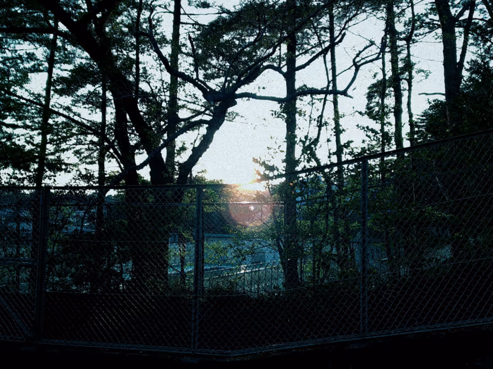 画像04