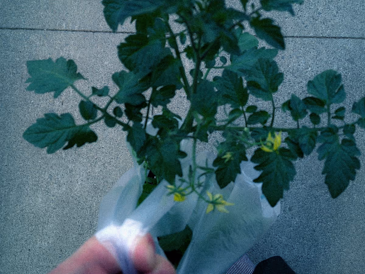 画像08