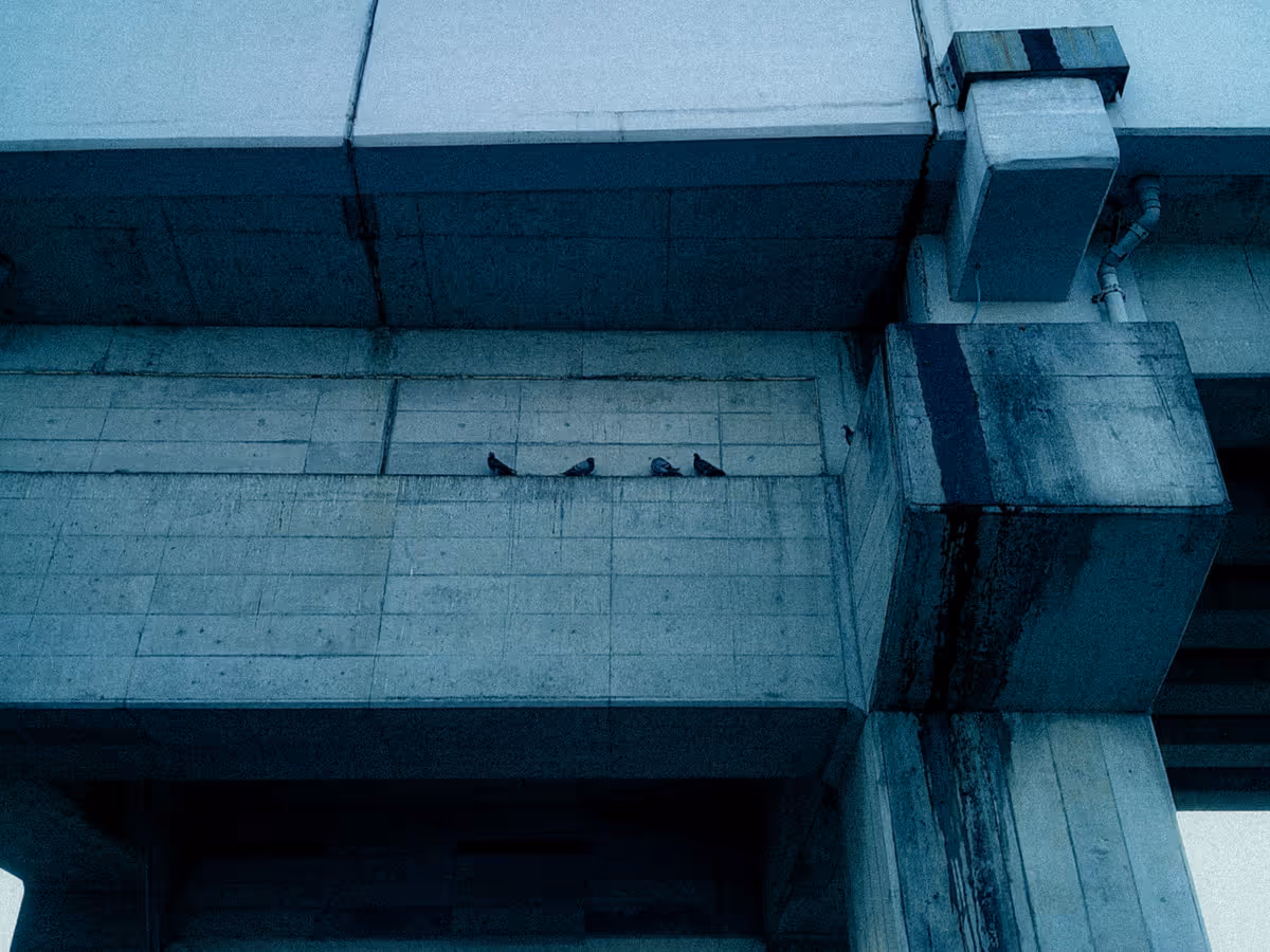 画像06