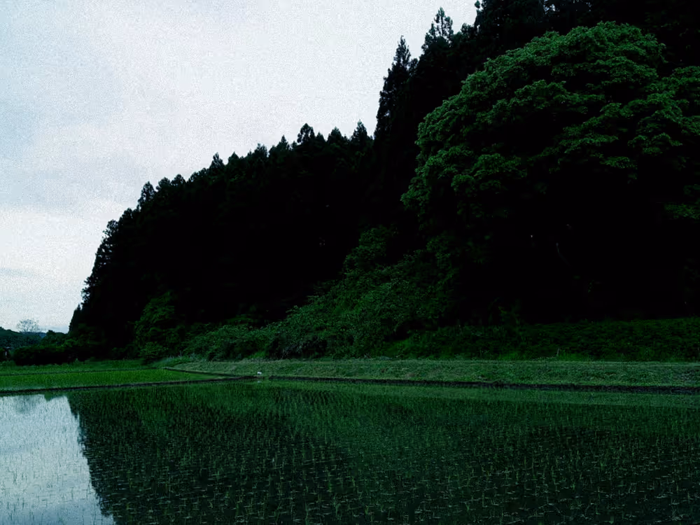 画像11