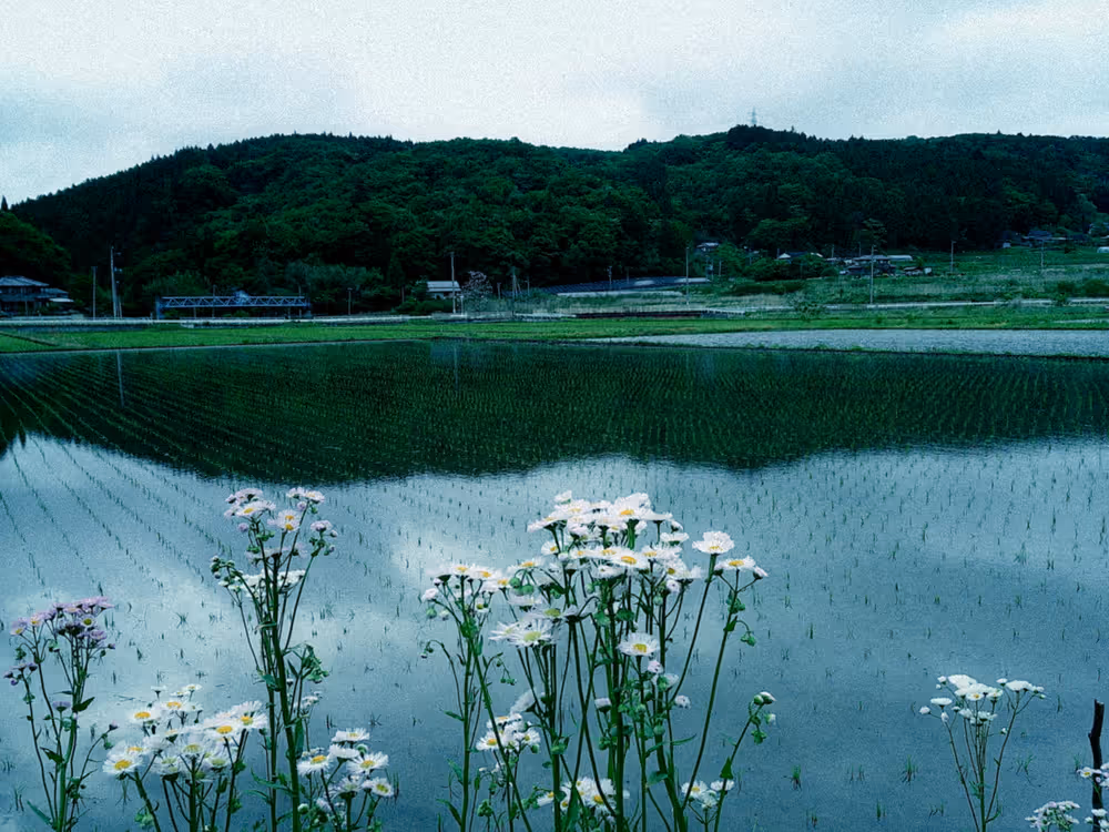 画像12