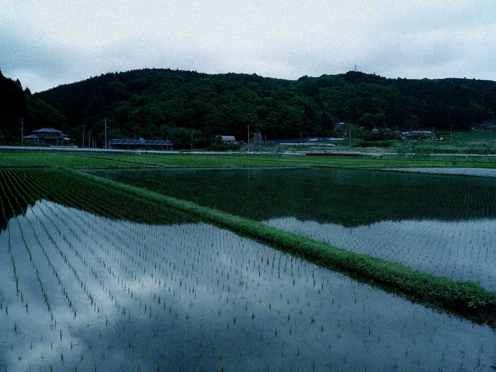 画像13