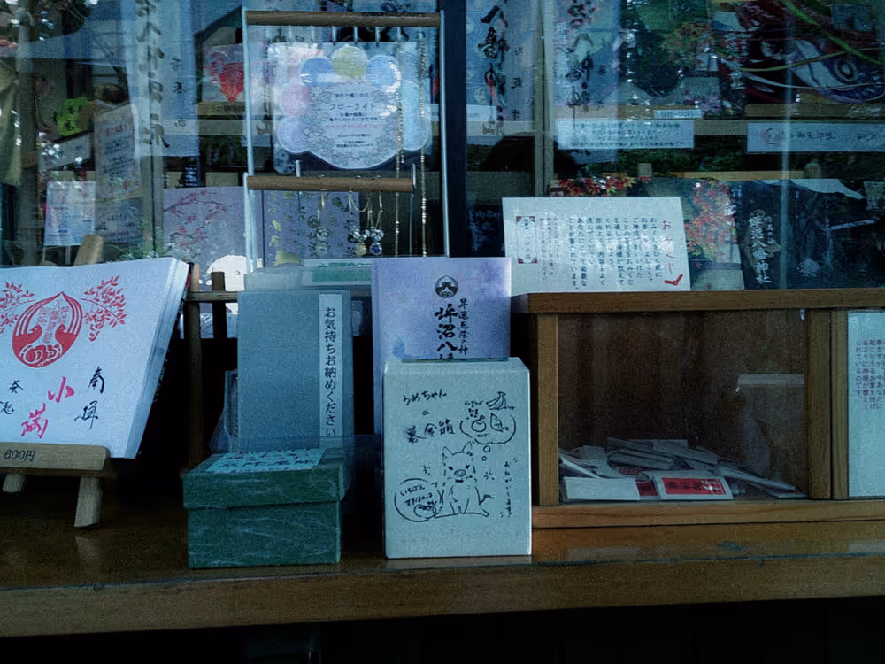 画像05