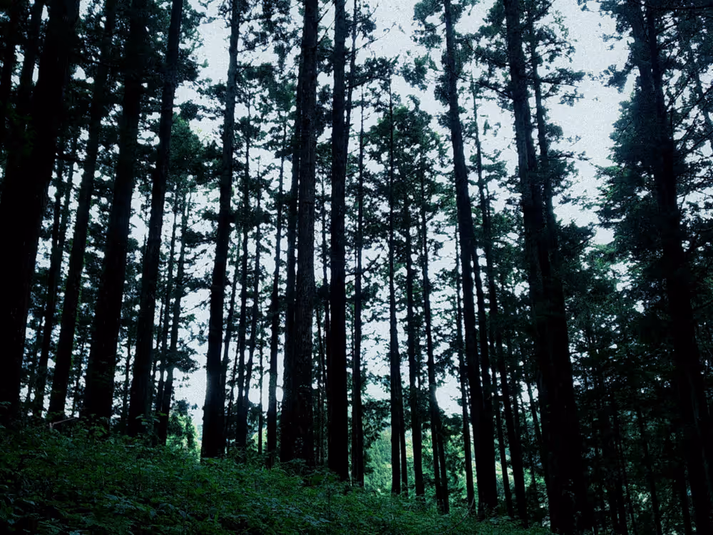 画像06