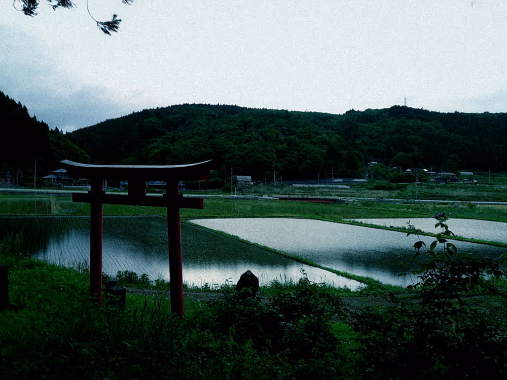 画像07
