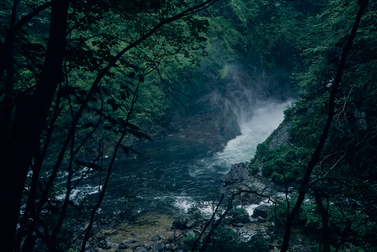 画像01